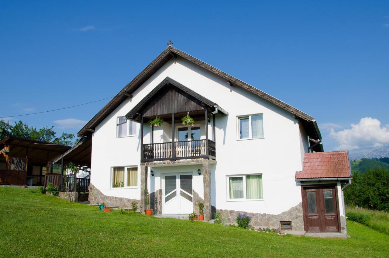 Casa Elena Bran (Brasov) Exterior foto